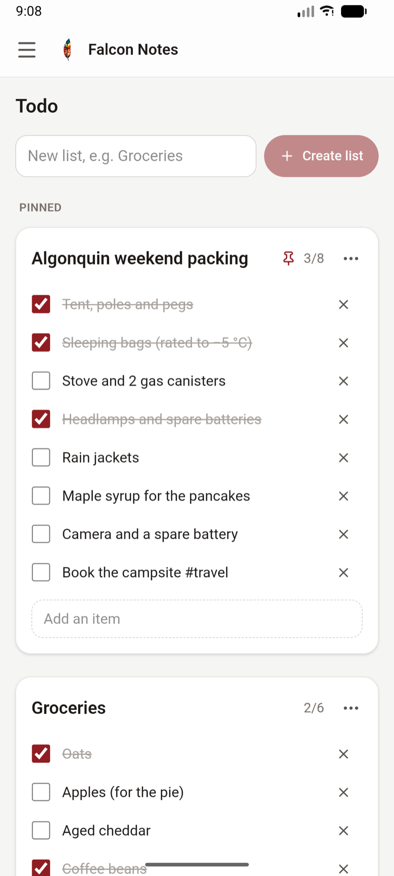Todo lists on a phone: two checklists with some items ticked off.